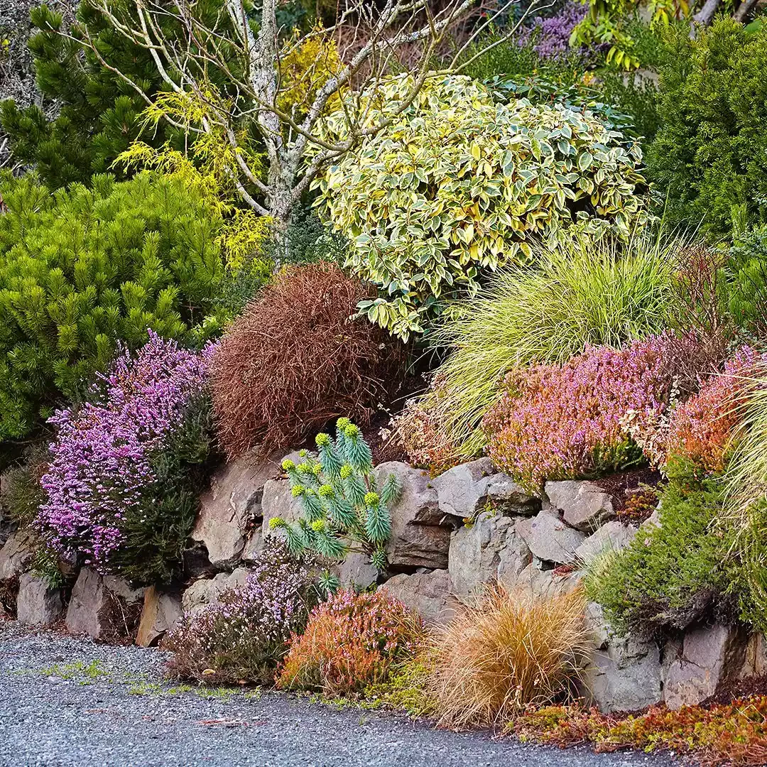 12 Water-Smart Landscaping Ideas for Your Home Groupings of Colorful Drought-Tolerant Plants