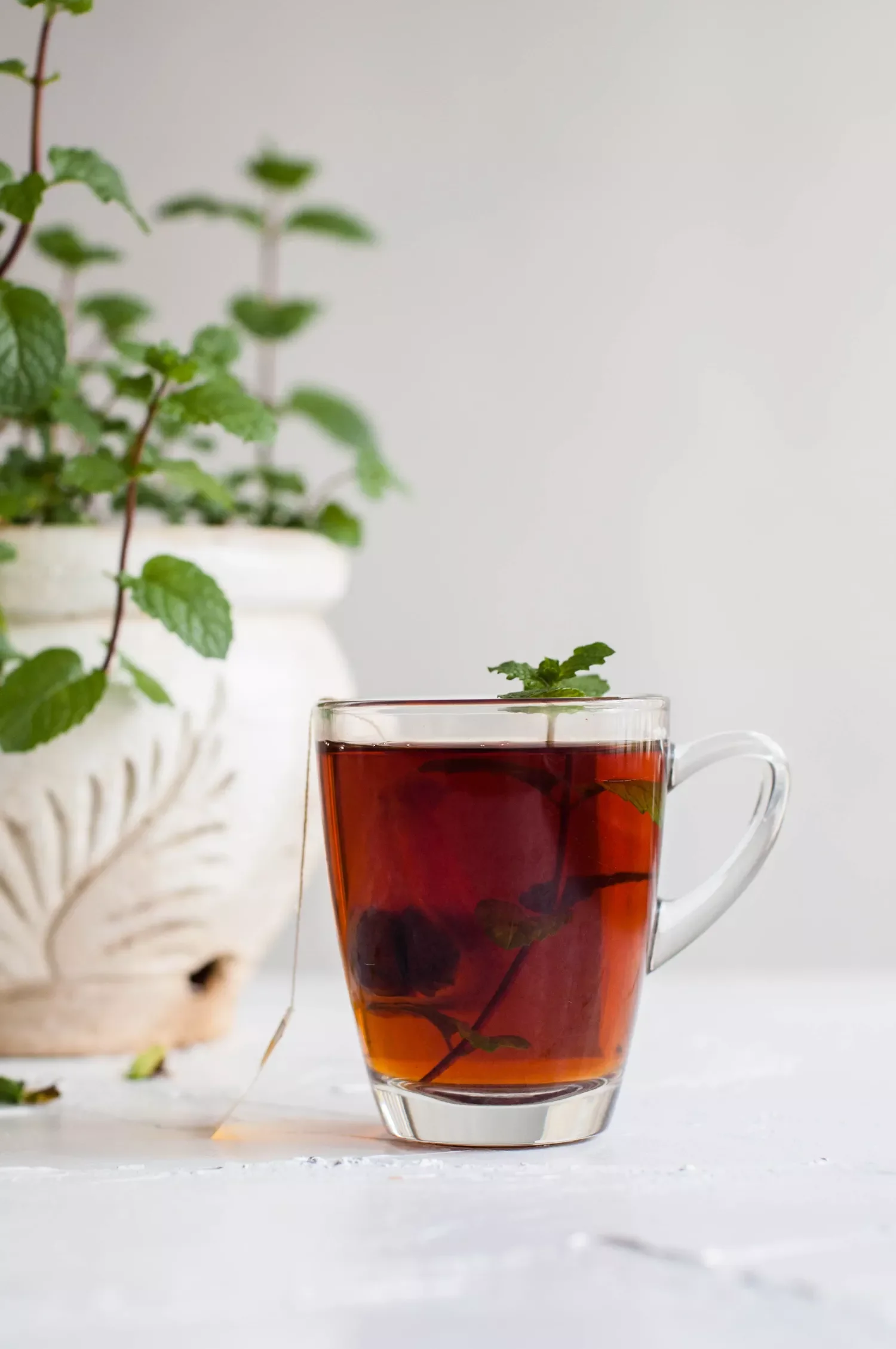 37 Creative Herb Garden Ideas to Transform Your Indoor and Outdoor Spaces Grow Aromatic Plants Indoors