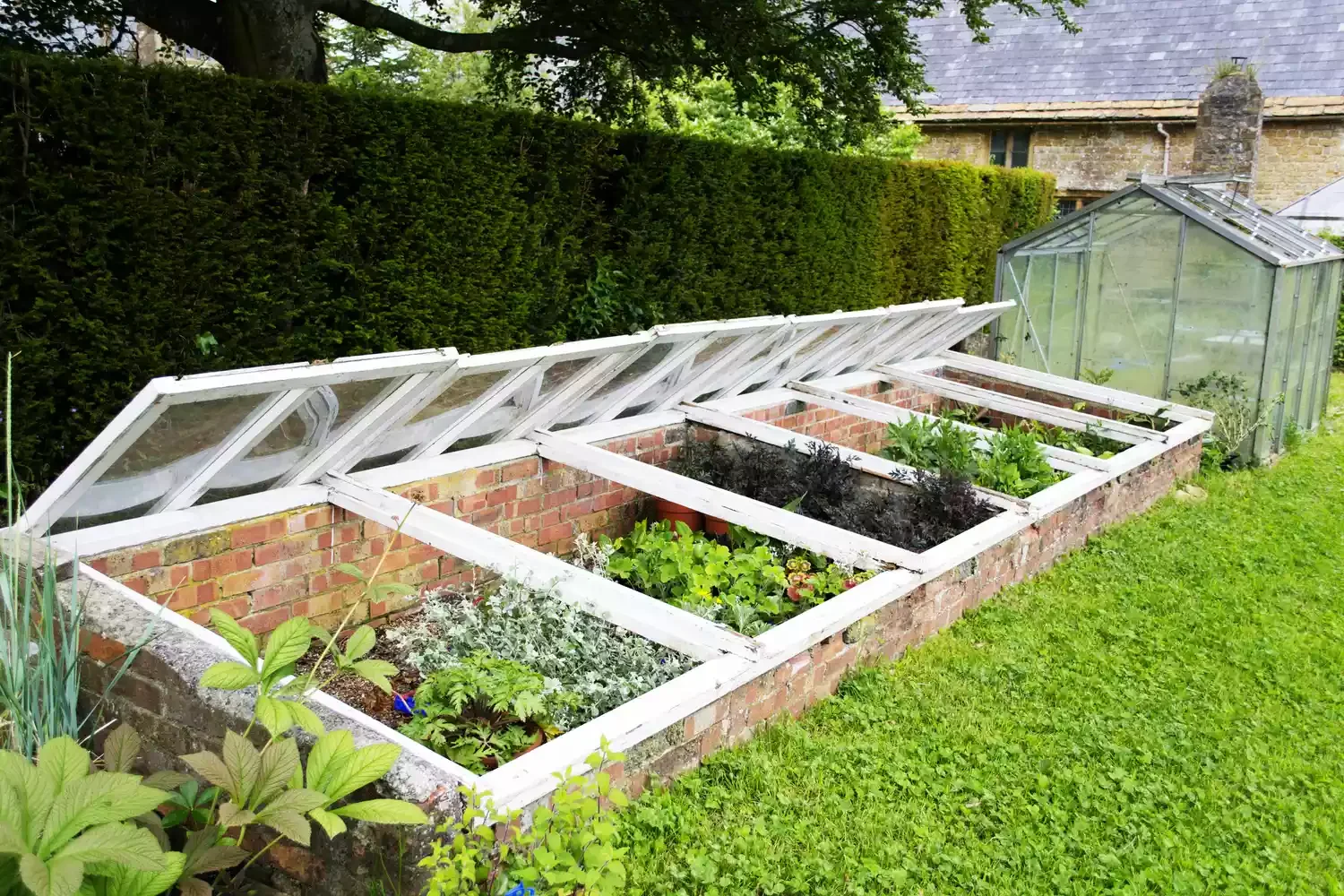22 Cold-Season Garden Projects That Will Transform Your Outdoor Space This Winter 13 Grow Cold Hardy Crops