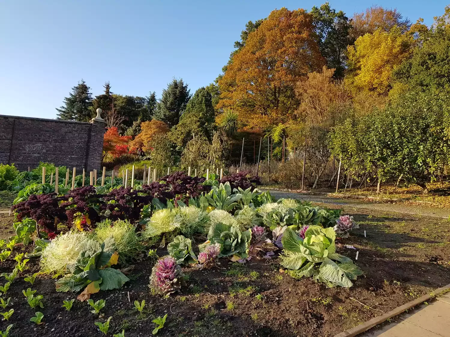 30 Stunning Fall Decor Ideas to Transform Your Outdoor Space Into an Autumn Paradise 14 Grow Fall Veggies