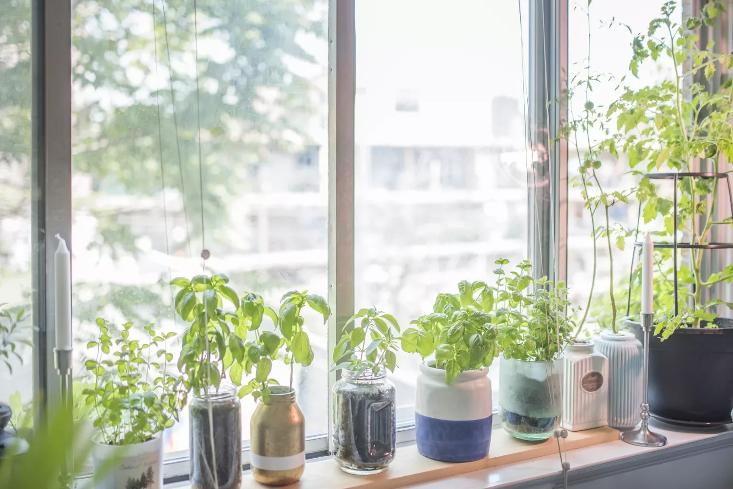 37 Creative Herb Garden Ideas to Transform Your Indoor and Outdoor Spaces Grow Herbs in Upcycled Containers