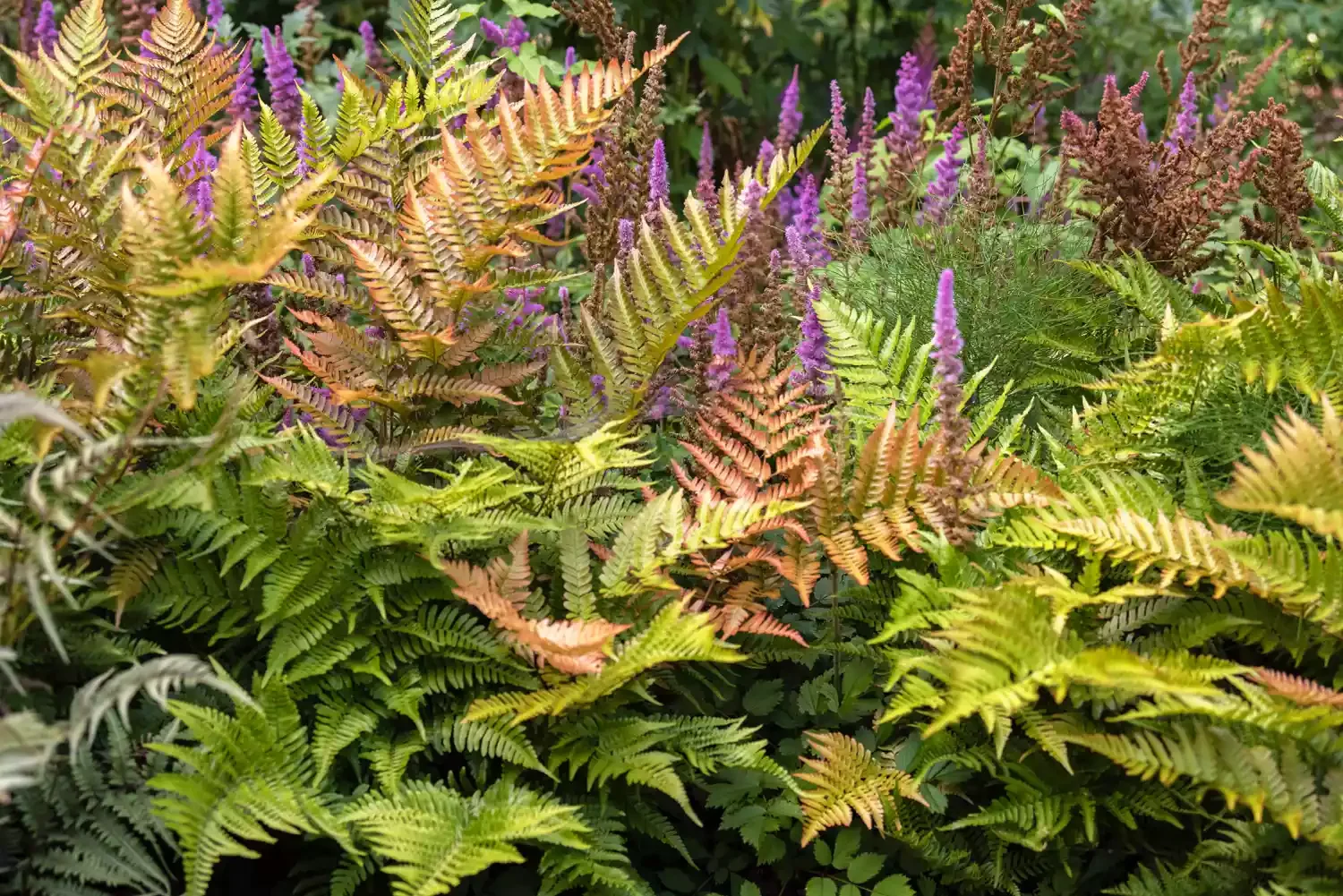 12 Winter Landscape Design Ideas That Keep Your Outdoor Space Colorful and Cozy Grow Winter-Friendly Container Plants