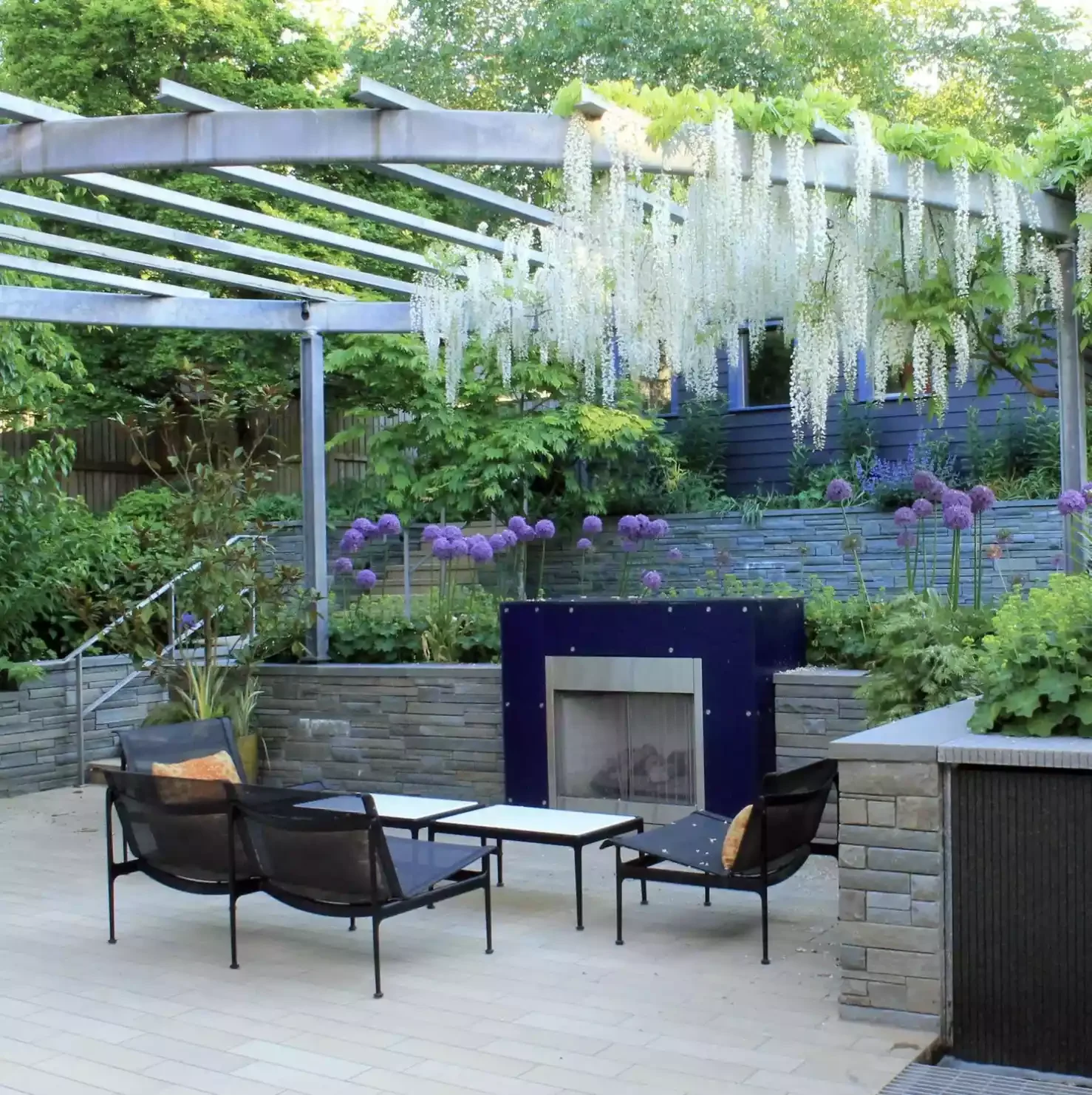 Grow Wisteria Overhead