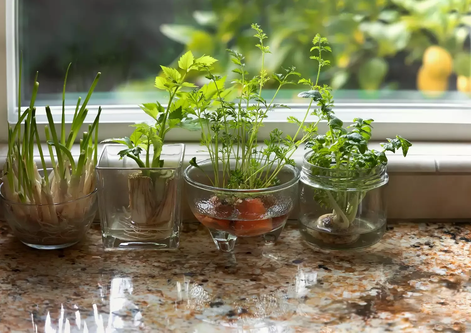 37 Creative Herb Garden Ideas to Transform Your Indoor and Outdoor Spaces Grow Your Herbs in Water