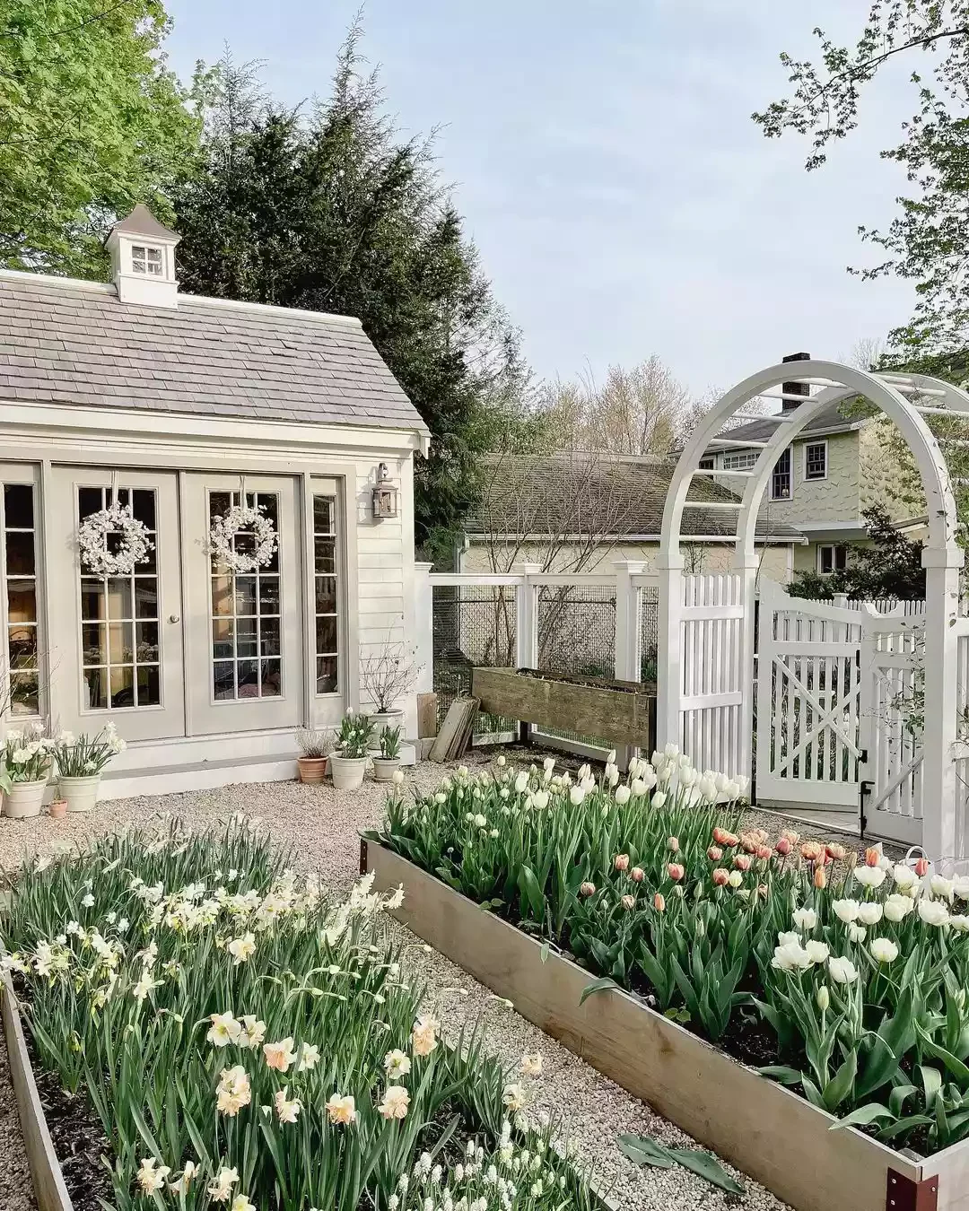 35 Enchanting Cottage Garden Ideas That Transform Your Outdoor Space Into a Magical Retreat Grow a Cutting Garden From Seed