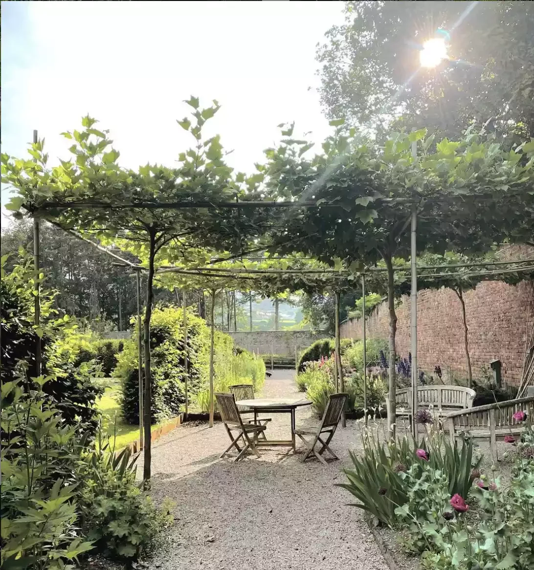 Grow a Tree Canopy