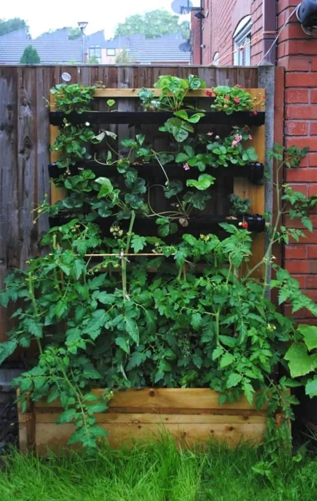 Gutter Planter