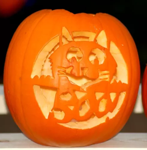 77 Creative Pumpkin Carving Ideas That'll Transform Your Fall Decorating Game 40 Halloween Cat Pumpkin