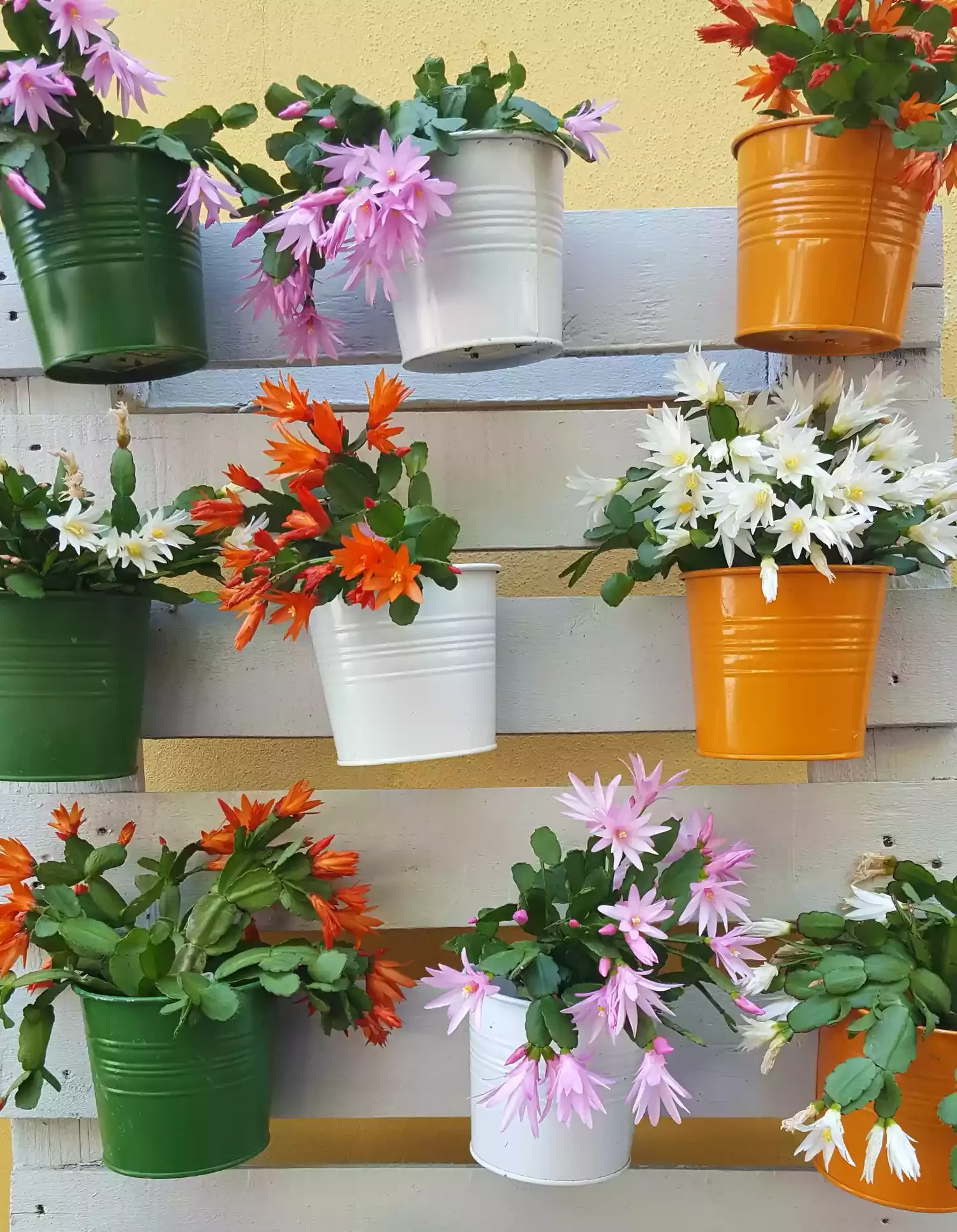 Hang Colorful Tin Pots From a Pallet