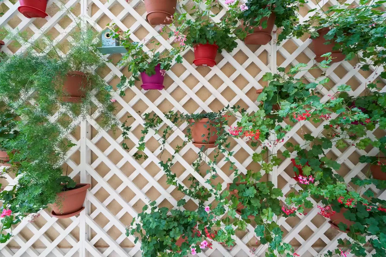 Hang Plants Along a Trellis