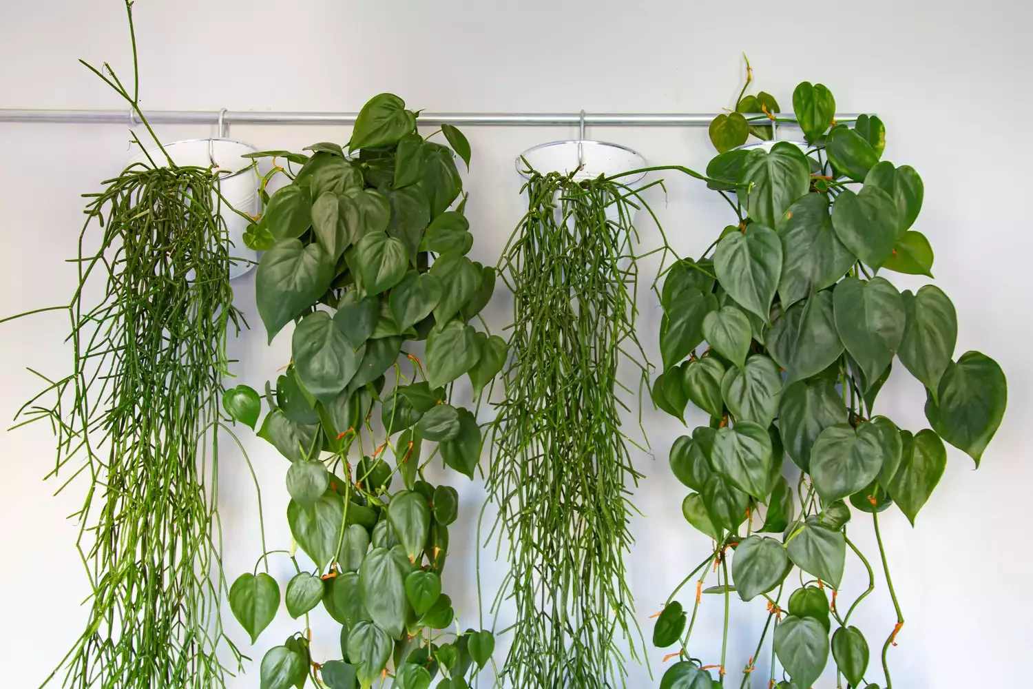 Hang Plants from Old Clothing Rods