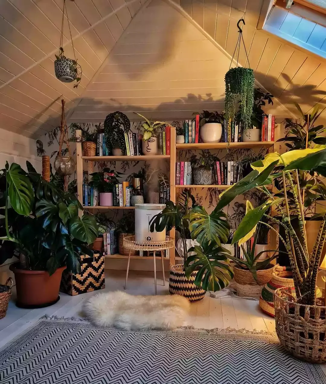 30 Brilliant Storage Solutions to Transform Your Small Apartment Hang Plants