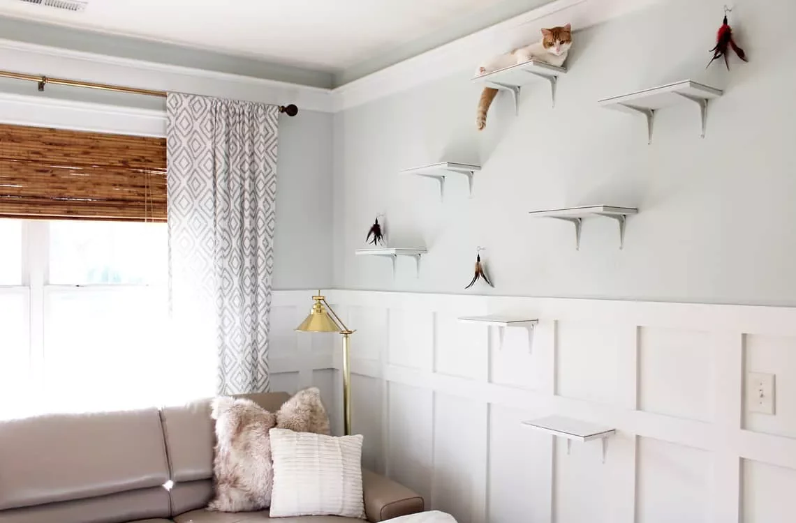 25 Stylish Cat Room Ideas That'll Transform Your Home Into a Feline Paradise 19 Hang Up Some Shelves