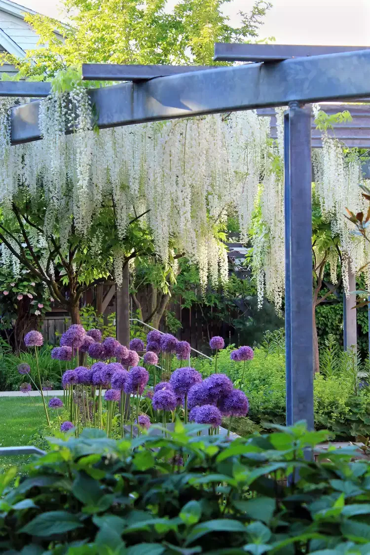 35 Enchanting Cottage Garden Ideas That Transform Your Outdoor Space Into a Magical Retreat Hang Wisteria