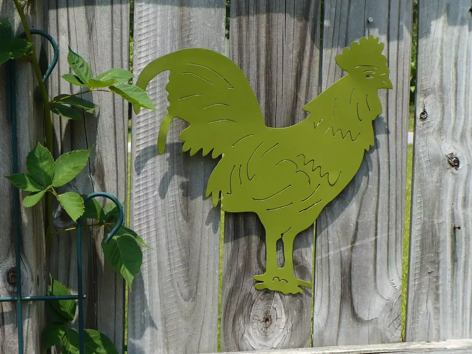 Hang a Cheeky Chicken