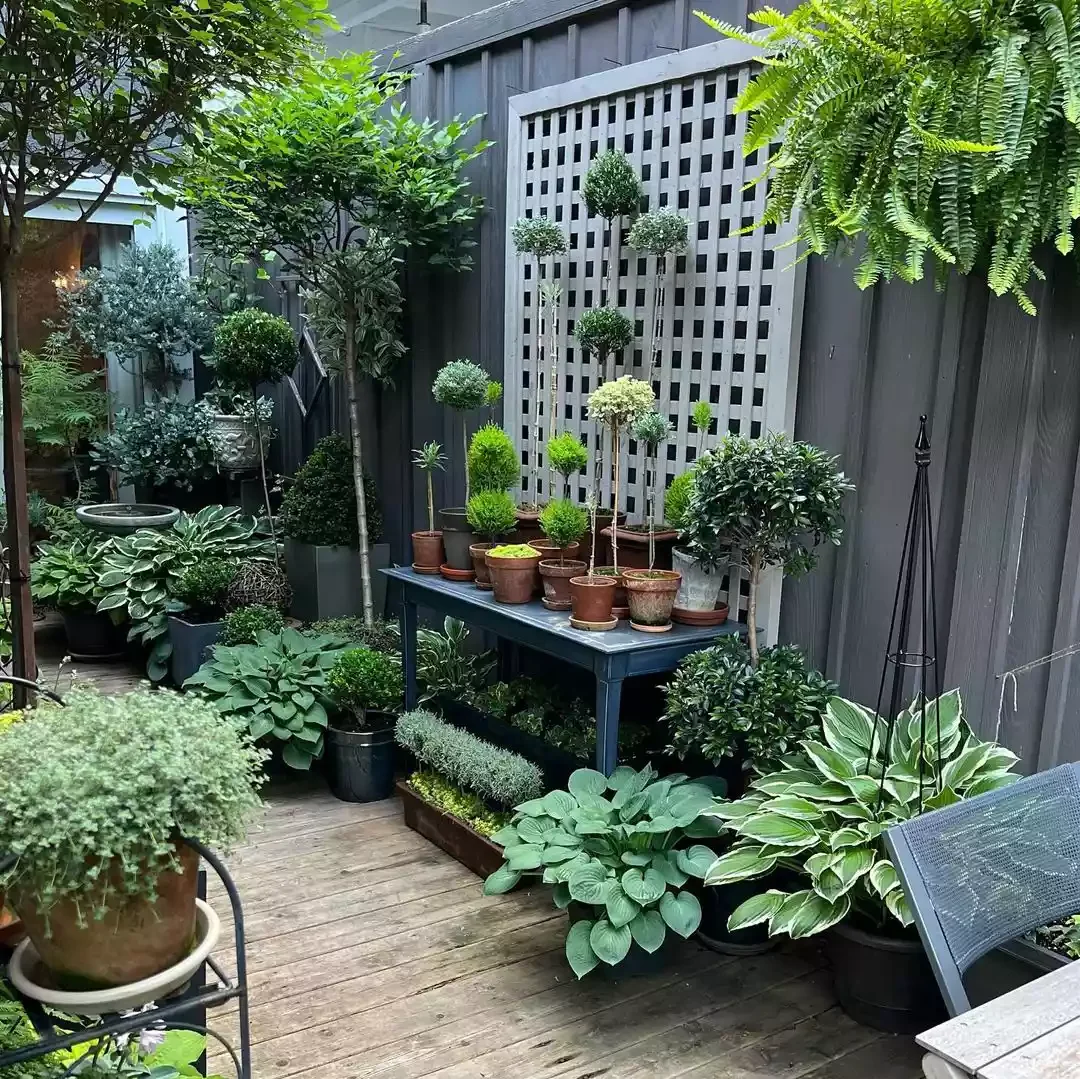 37 Budget Backyard Ideas That Create a Stunning Retreat Hang a Trellis