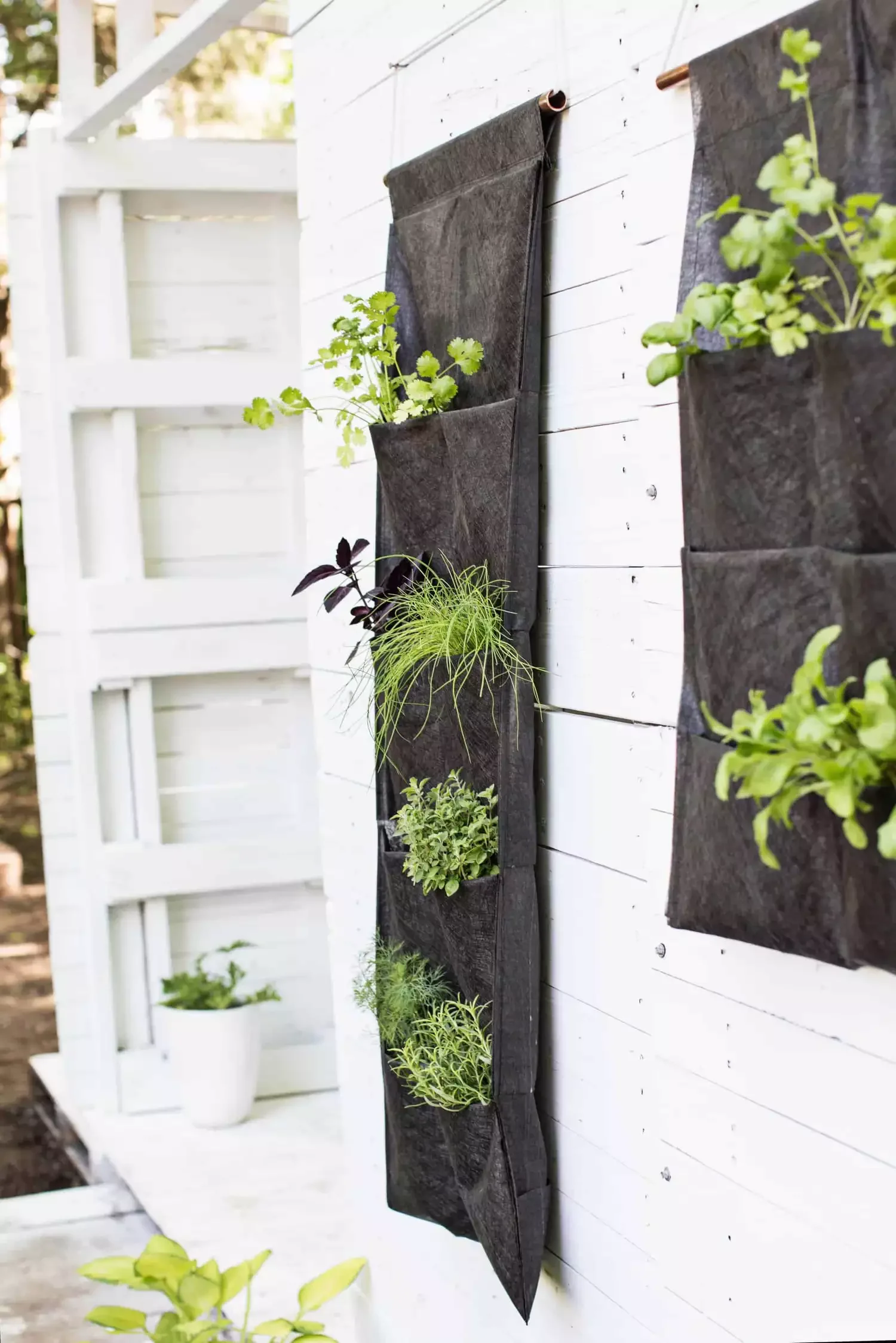 Hanging Herb Garden