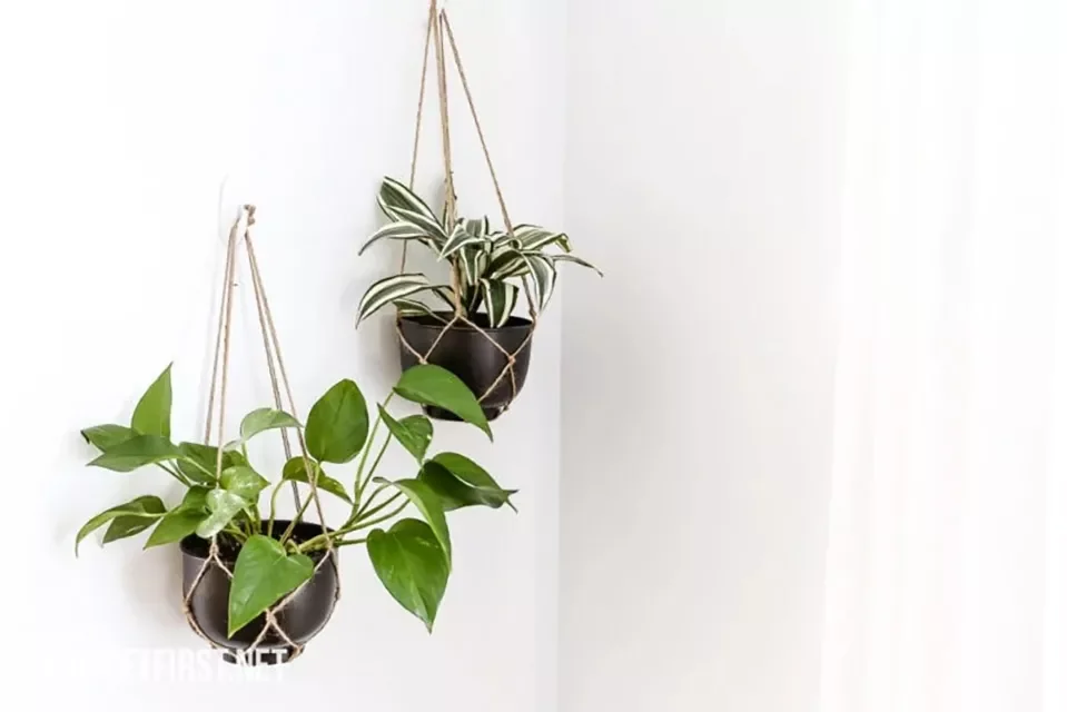 30 Creative DIY Wall Planter Projects to Transform Your Space Hanging Wall Planter