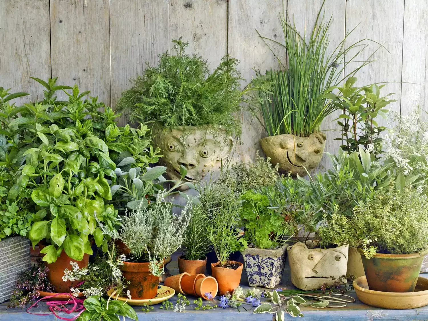 Have an Herb Garden