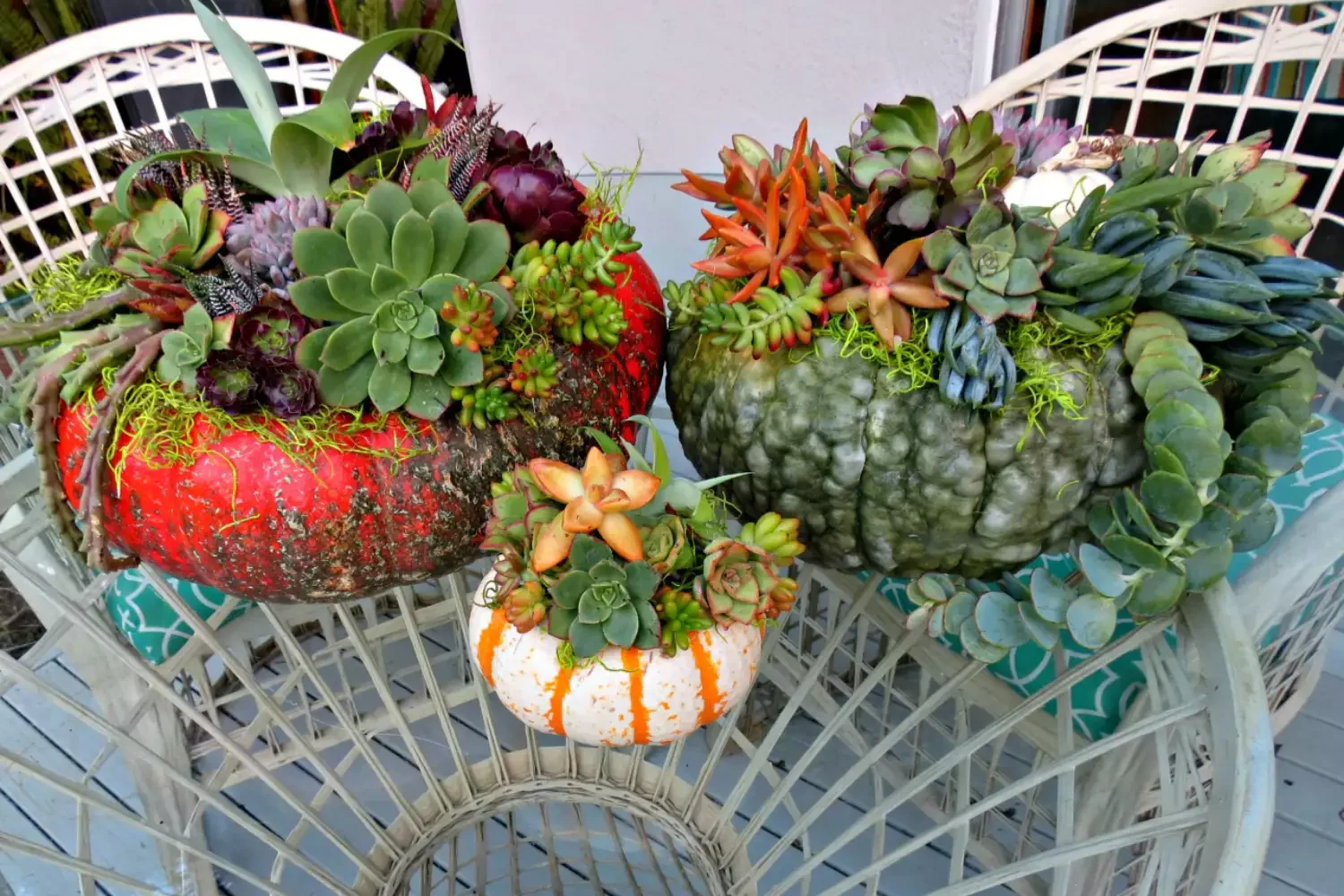77 Creative Pumpkin Carving Ideas That'll Transform Your Fall Decorating Game 47 Heirloom Succulent Pot Carved Pumpkins