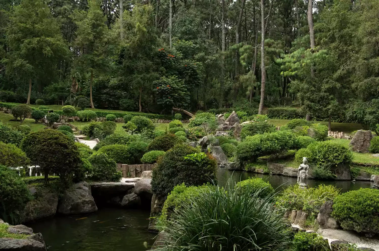 24 Beautiful Koi Pond Designs to Transform Your Outdoor Space Hidden Koi Pond