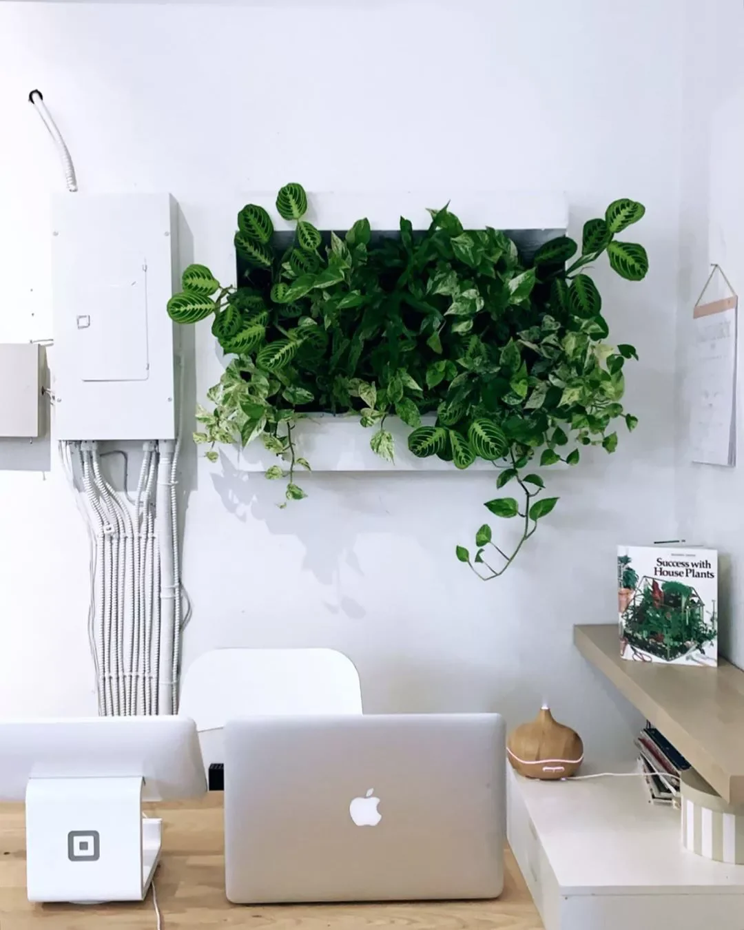 26 Stunning Plant Wall Ideas That'll Transform Your Home Into a Green Paradise 18 Home Office Plant Wall