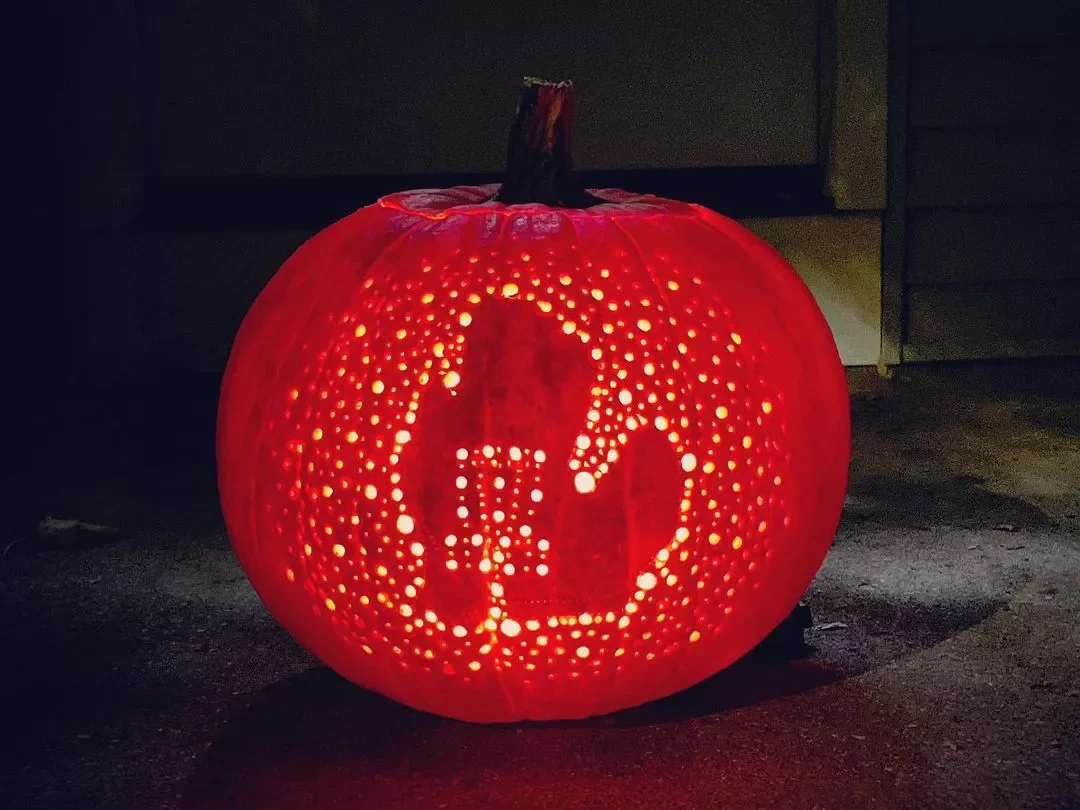 77 Creative Pumpkin Carving Ideas That'll Transform Your Fall Decorating Game 27 Home State Pumpkin