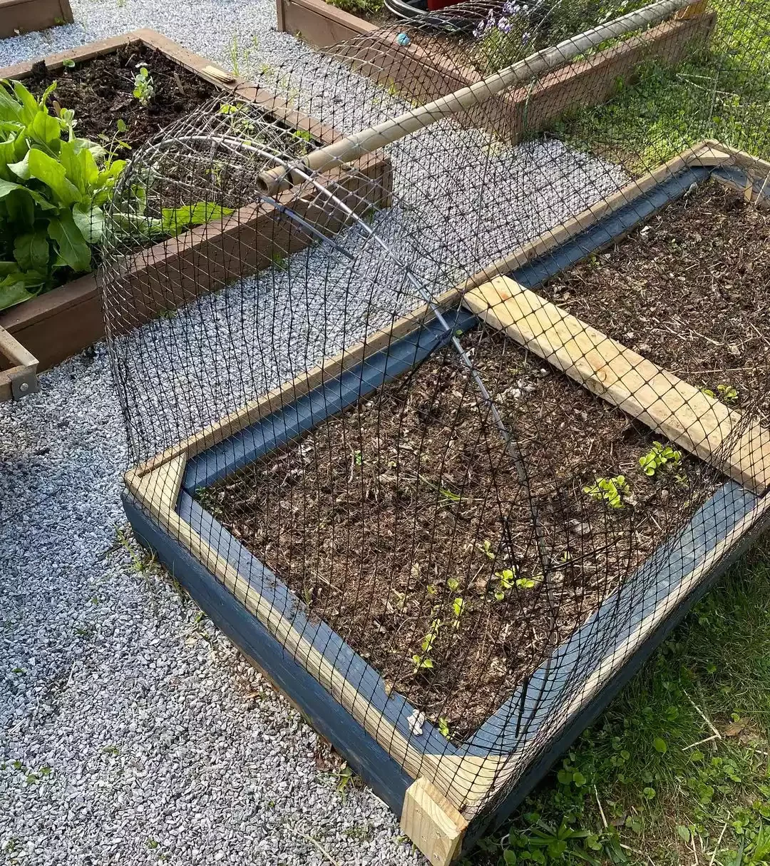 Hoop House Raised Bed
