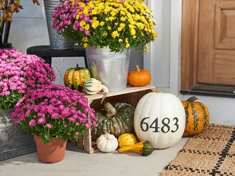 46 Creative Pumpkin Painting Ideas for Fall Home Decor 10 House Number Pumpkin