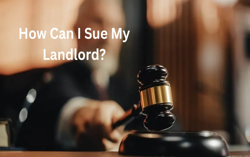 How Can I Sue My Landlord: A Comprehensive Guide to Legal Actions