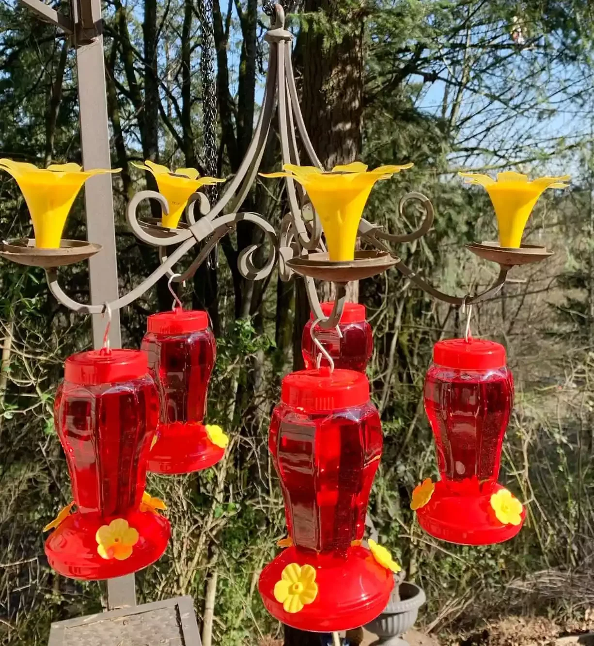 Hummingbird Feeder Chandelier