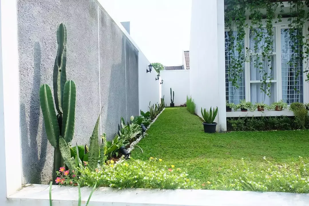 25 Creative Side Yard Transformations to Maximize Your Outdoor Space Illuminated Side Yard