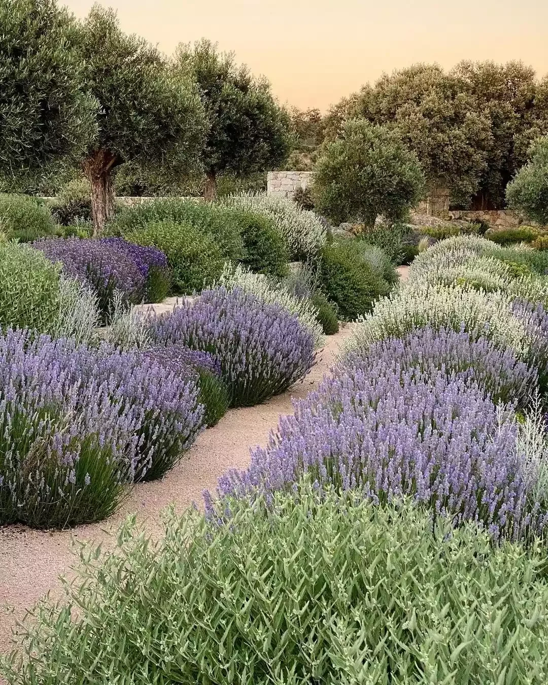 13 Effortless Garden Border Ideas That'll Transform Your Outdoor Space Implement Mediterranean Style