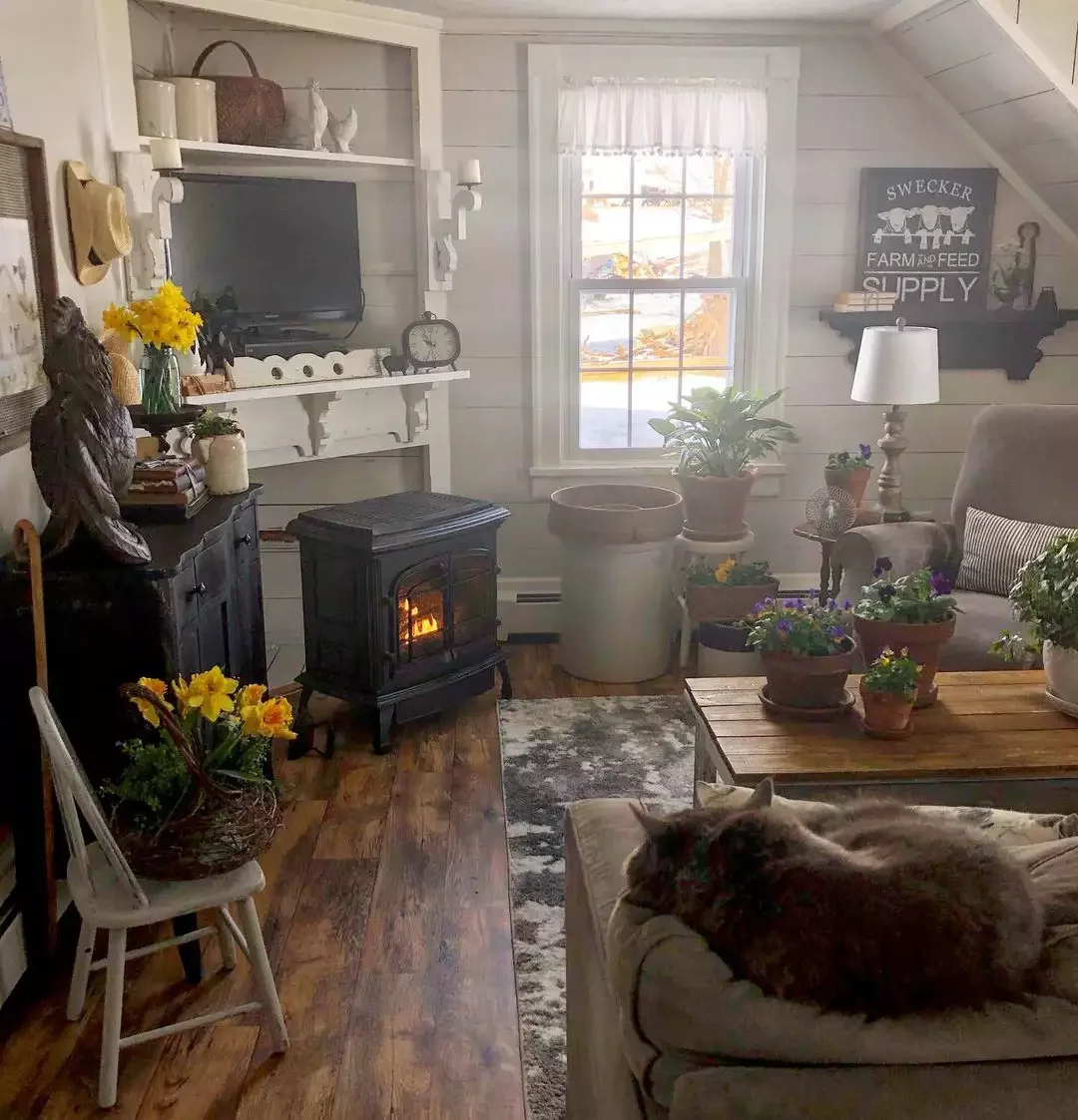 40 Cozy Country Living Room Ideas That Create Instant Warmth 21 Incorporate Lots of Greenery