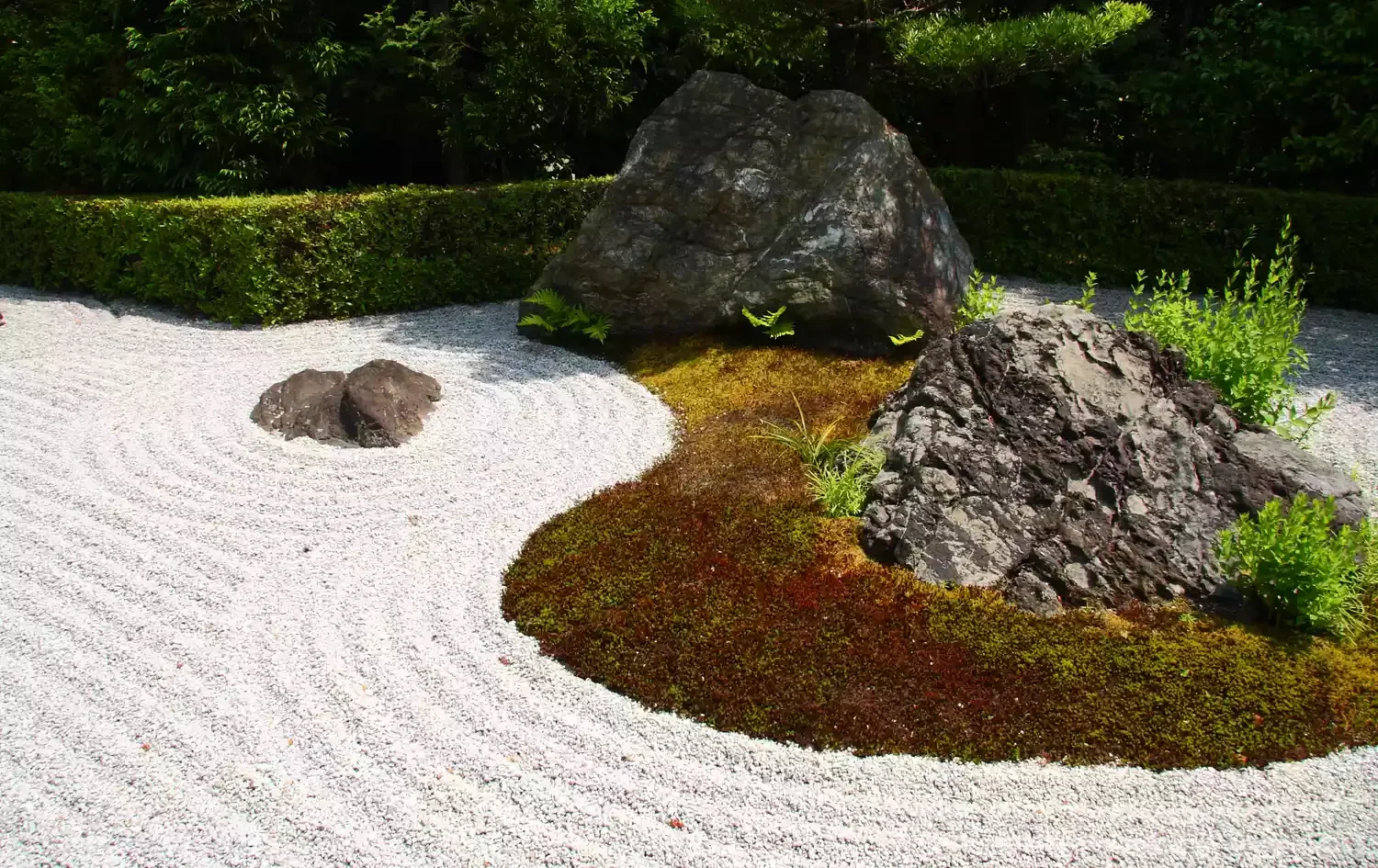 21 Tranquil Zen Garden Ideas That Will Transform Your Outdoor Space Incorporate Moss