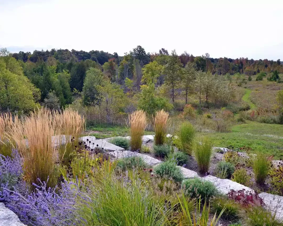 35 Enchanting Cottage Garden Ideas That Transform Your Outdoor Space Into a Magical Retreat Incorporate Ornamental Grasses