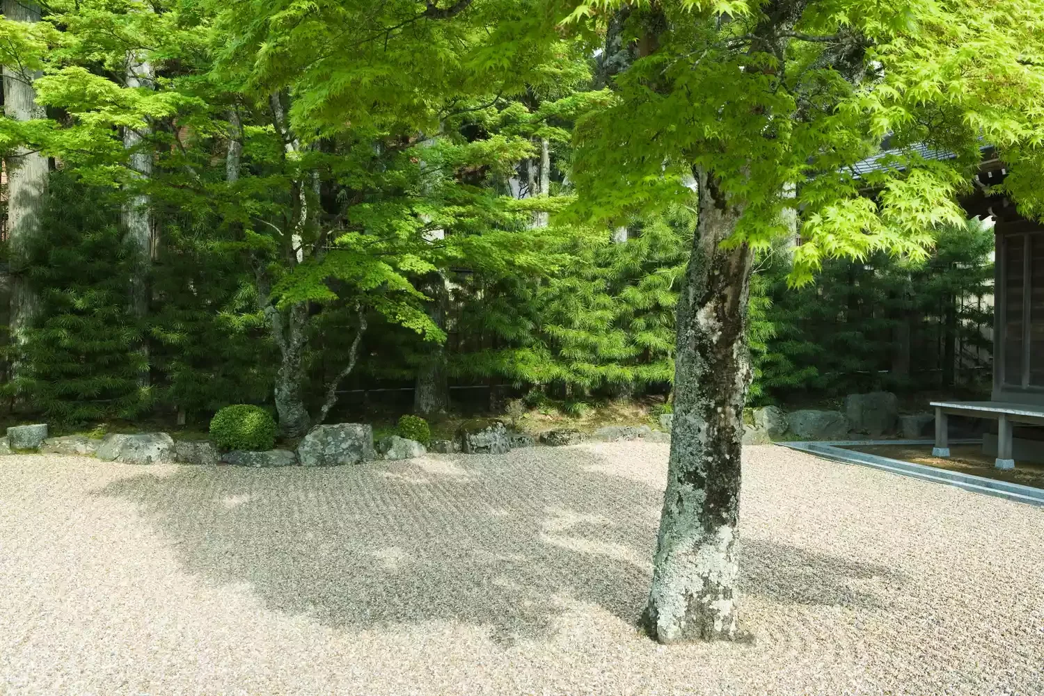21 Tranquil Zen Garden Ideas That Will Transform Your Outdoor Space Incorporate Raked Sand