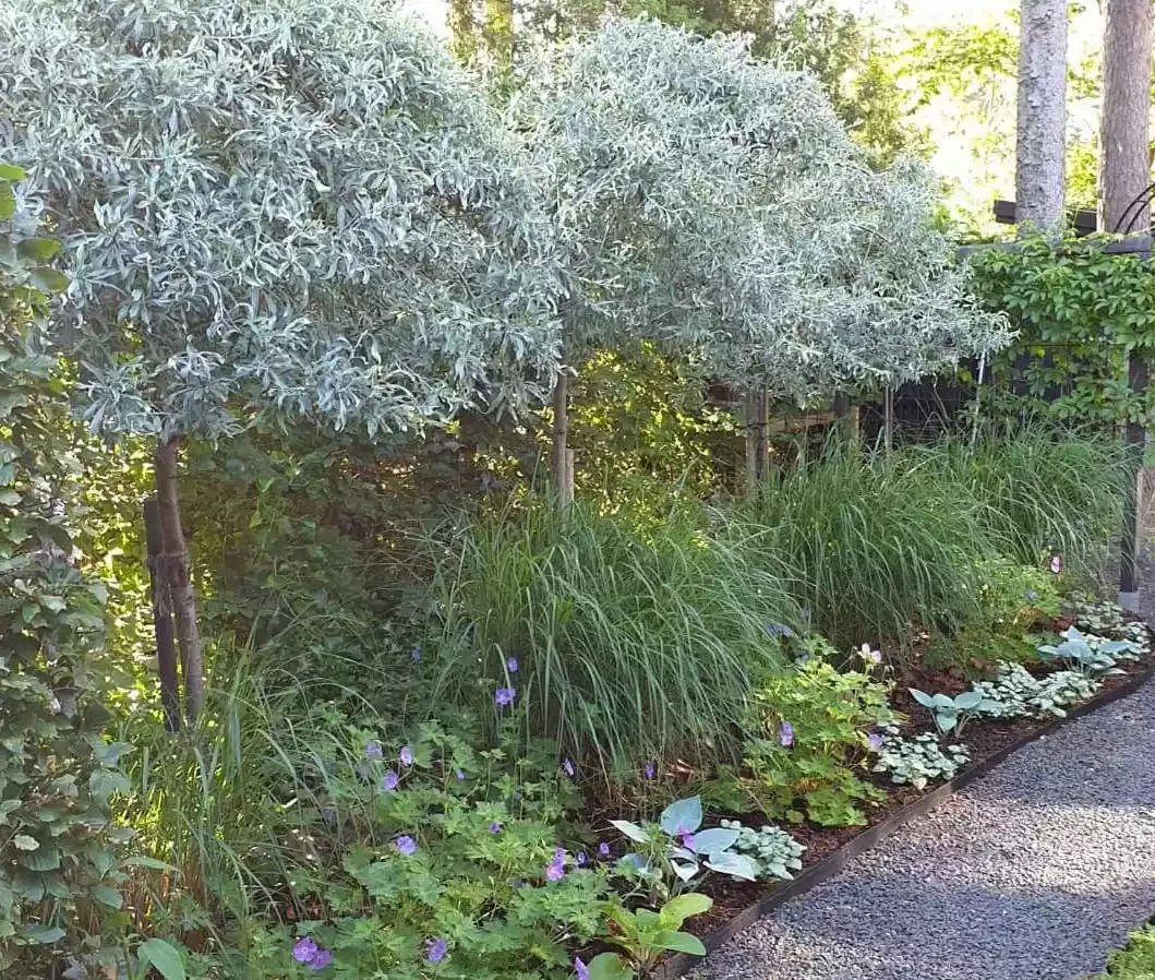 37 Stunning Flower Bed Designs That Will Transform Your Garden Incorporate Silvery Accents