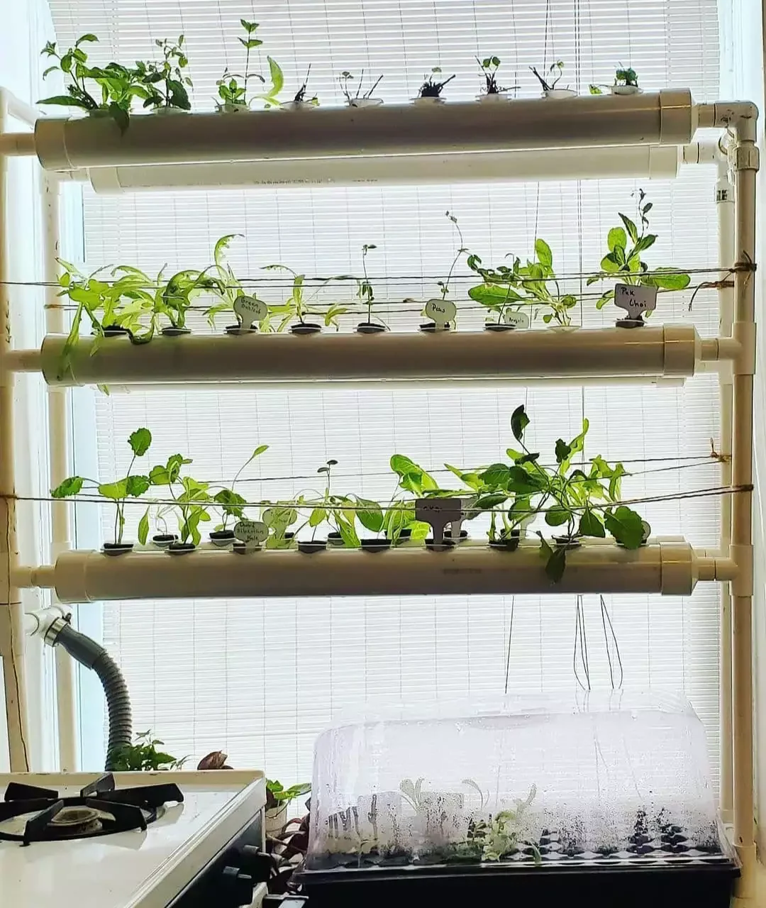 16 Beautiful Ways to Create Your Dream Indoor Garden Space Indoor Hydroponic Garden