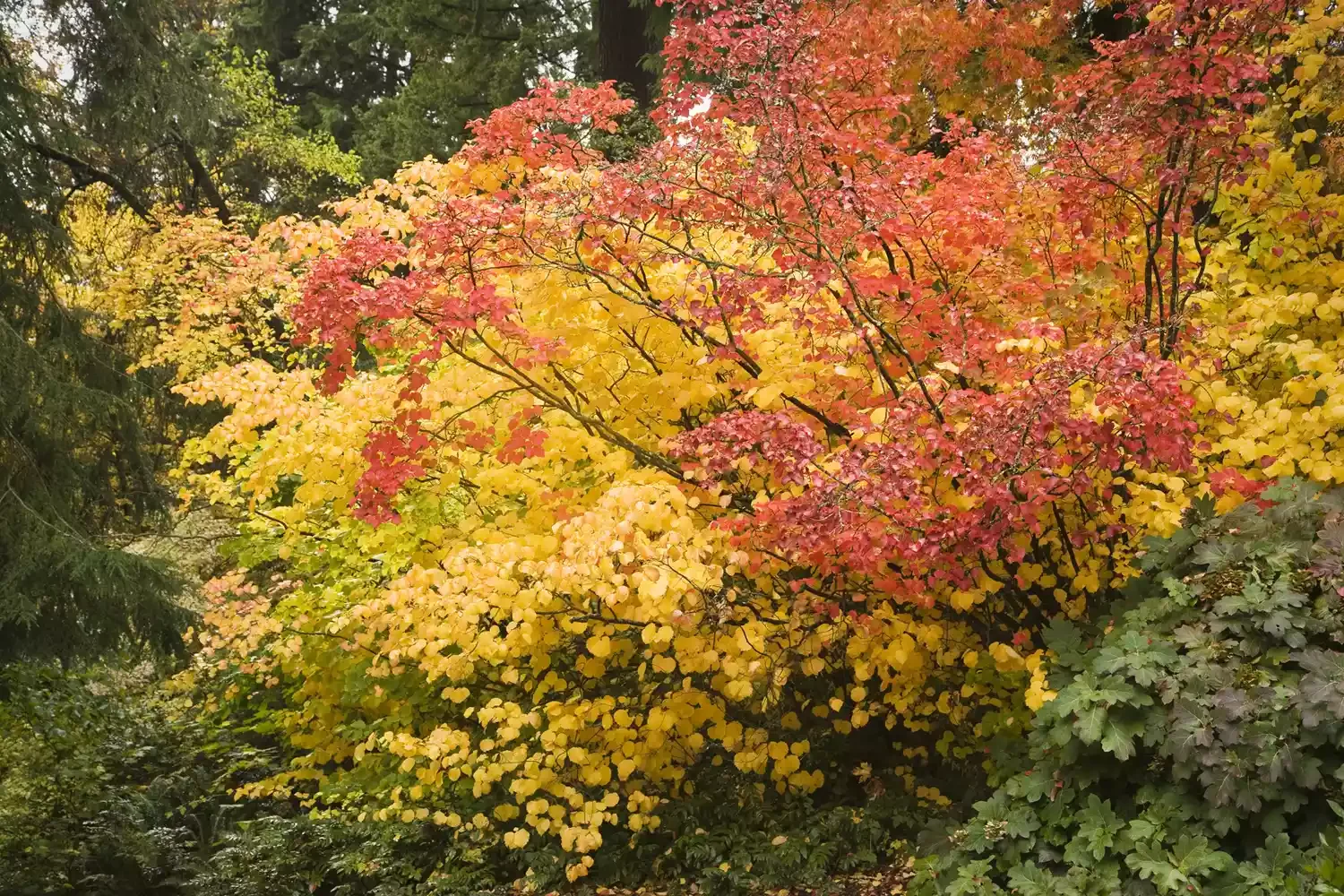 Indulge in Fall