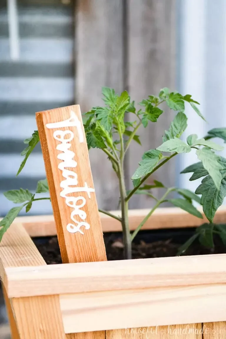 35 Creative DIY Garden Projects to Transform Your Outdoor Space Inlay Garden Markers