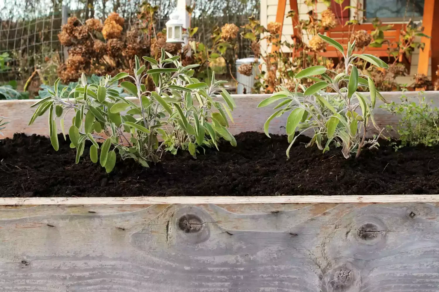 23 Budget-Friendly Front Yard Makeover Ideas That Will Wow Your Neighbors Install Raised Flower Beds