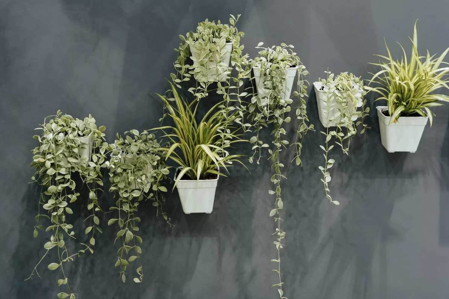 Install Wall Planters Indoors