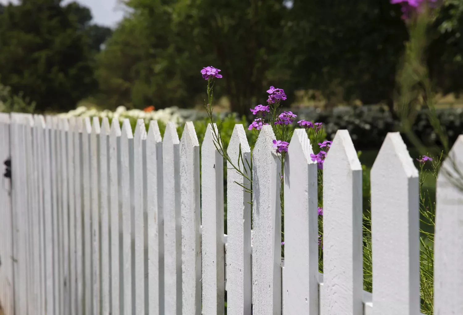 24 Creative DIY Fence Projects to Transform Your Outdoor Privacy Install a Fence