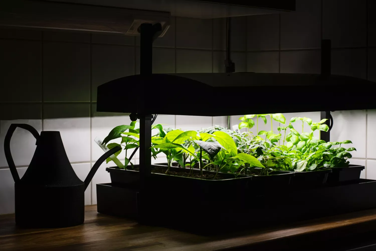37 Creative Herb Garden Ideas to Transform Your Indoor and Outdoor Spaces Install a Grow Light