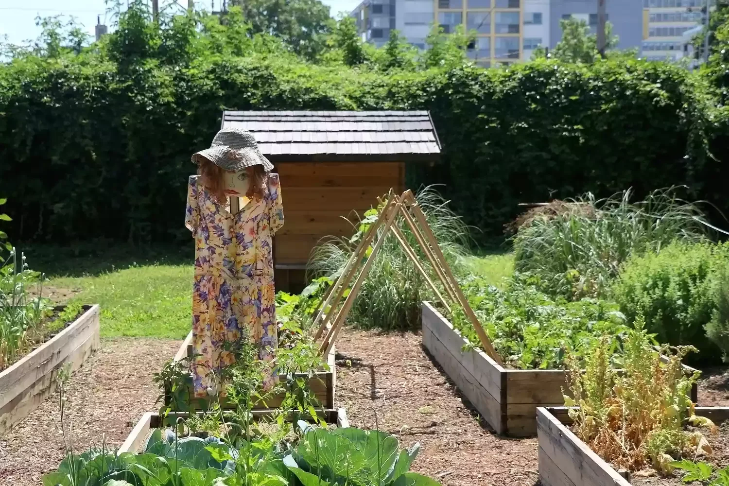 26 Vegetables Garden Ideas That Keep Your Home Stocked with Year-Round Install a Scarecrow