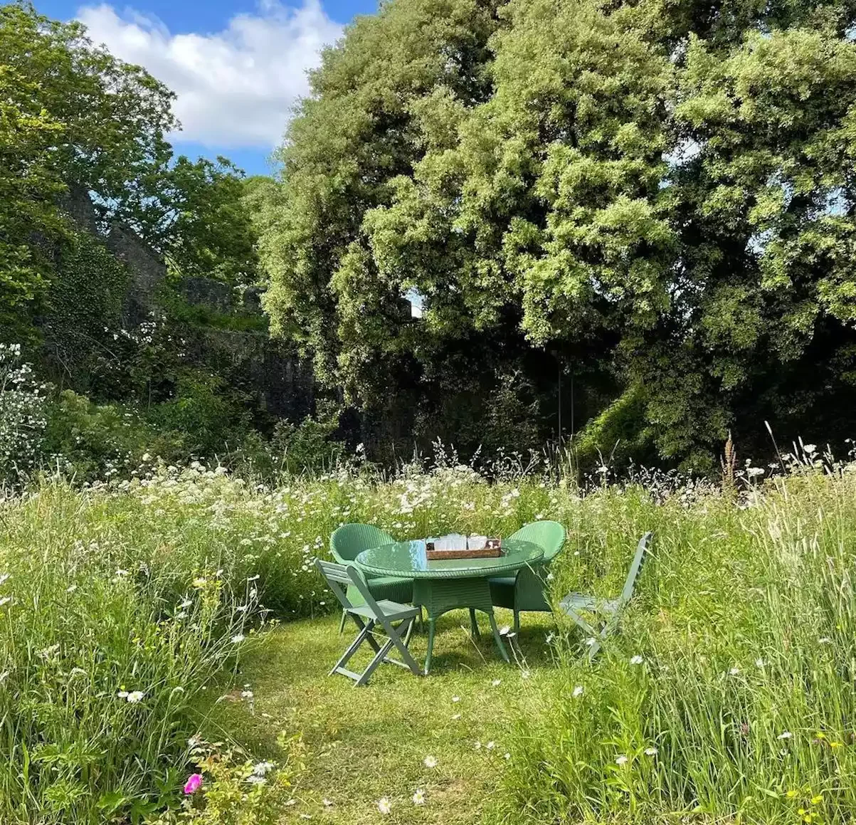 15 Stunning Wildflower Garden Designs to Transform Your Backyard Into a Natural Paradise Integrate a Seating Area