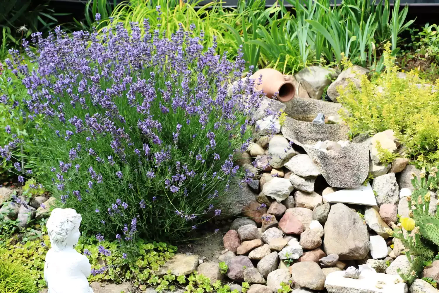 37 Creative Herb Garden Ideas to Transform Your Indoor and Outdoor Spaces Interplant With a Rock Garden