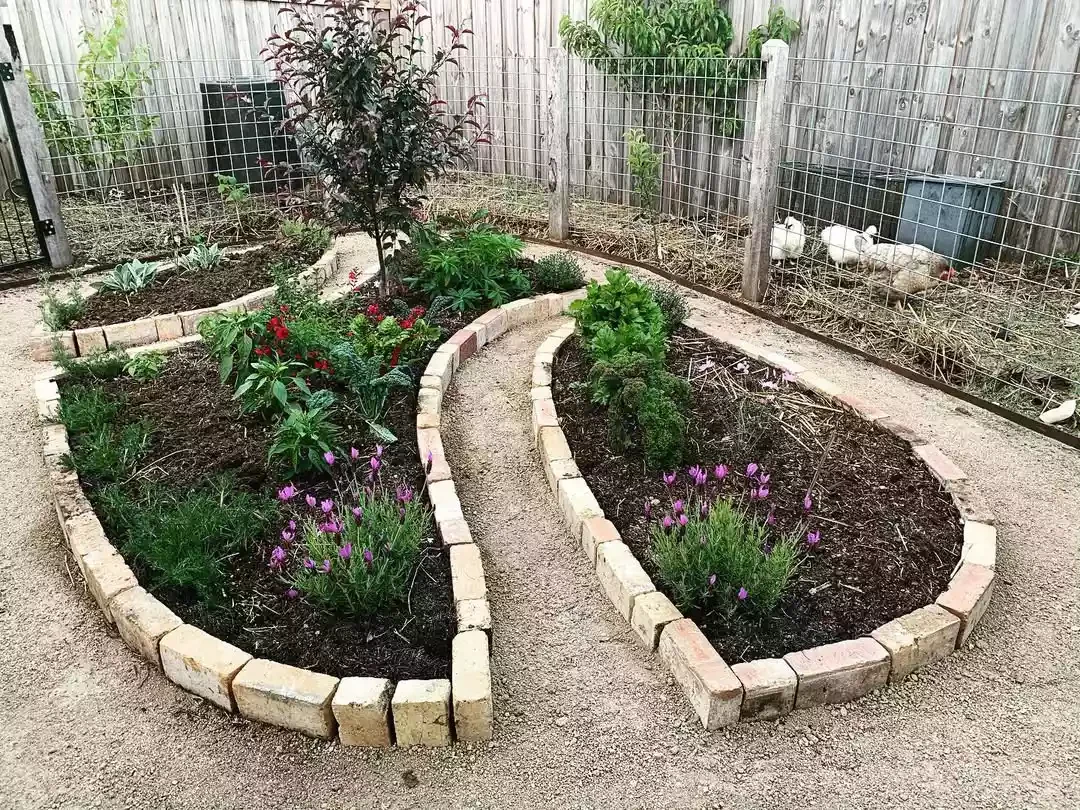 15 Beautiful Brick Border Ideas to Frame Your Garden Beds on Any Budget Intricate Brick Design