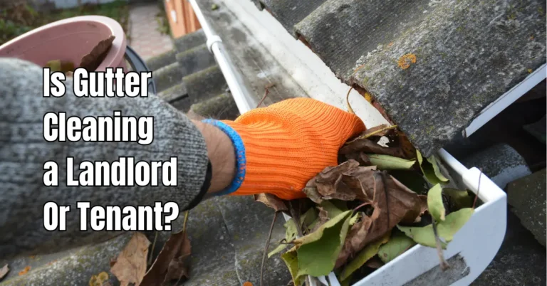 Is Gutter Cleaning a Landlord Or Tenant?- Rental Awareness